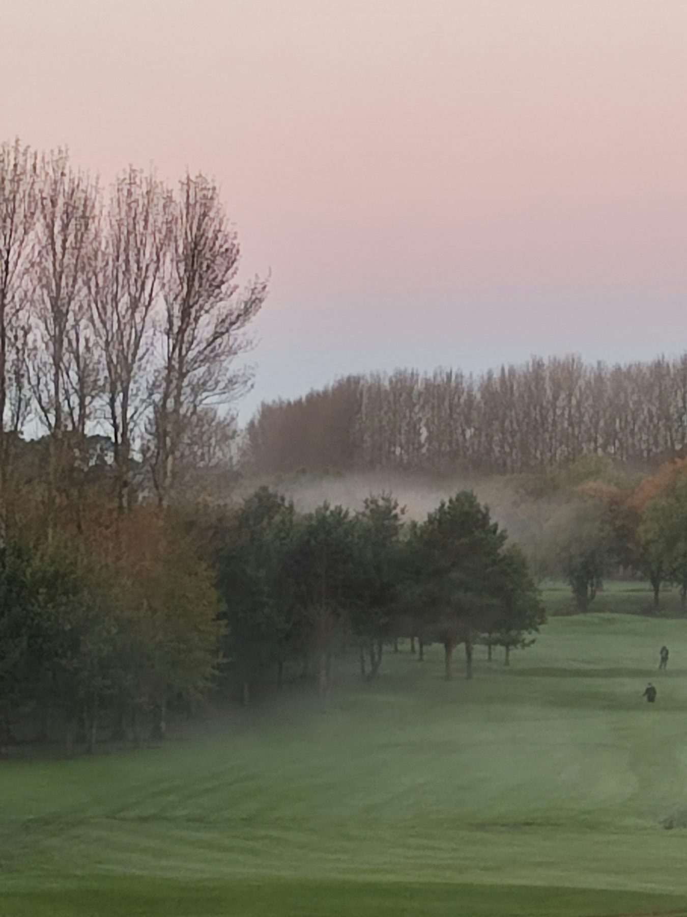 A fairway in mist.
